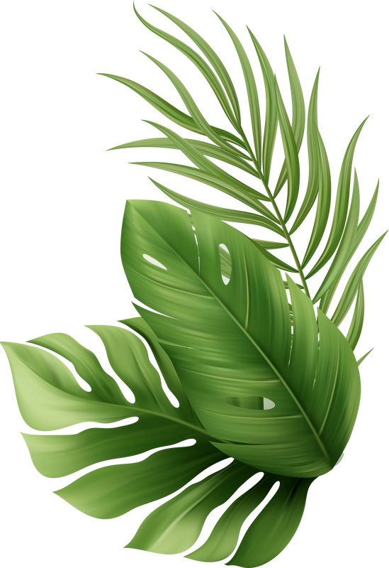 Palm Leaves